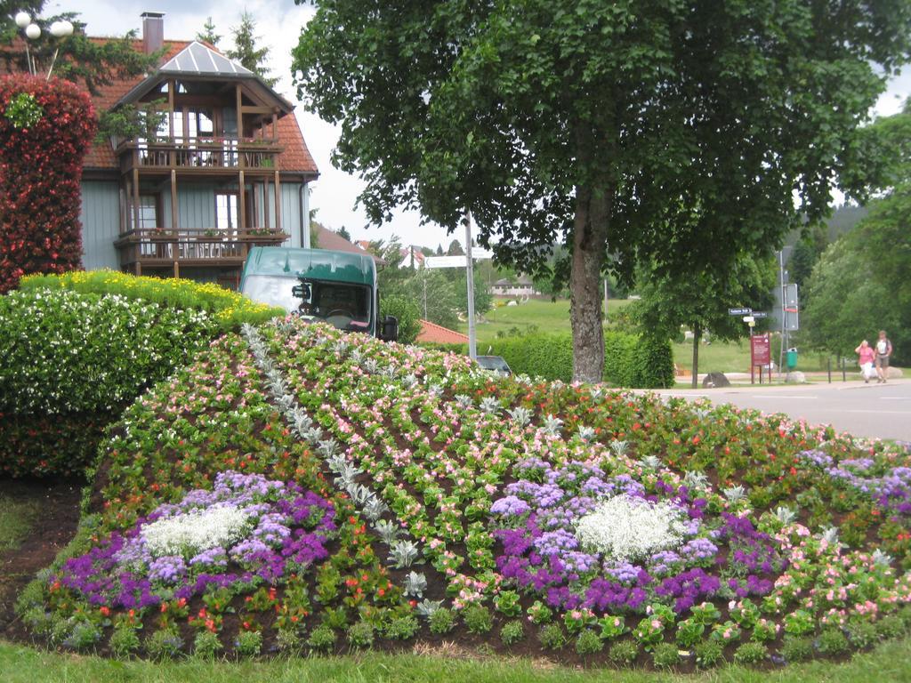 Apartment Eisenhauer In Шлухзее Экстерьер фото